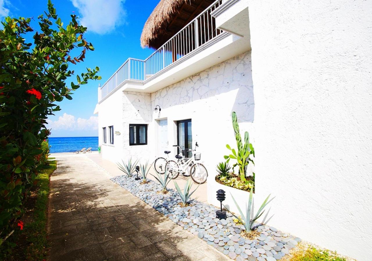 The Queen Of Cozumel Beach House -Luxury Beachfront Villa- Million Dollars View Luaran gambar